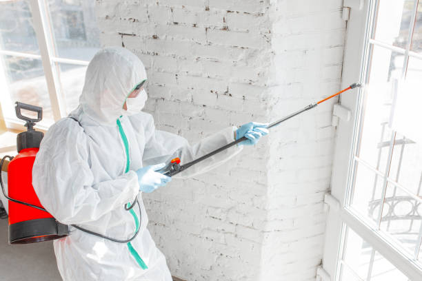 Best Asbestos and Lead Testing During Mold Inspection in Akron, NY