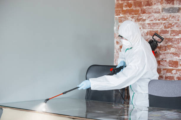 Best Mold Prevention Services in Akron, NY