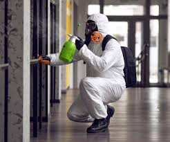 Best Mold Odor Removal Services in Akron, NY